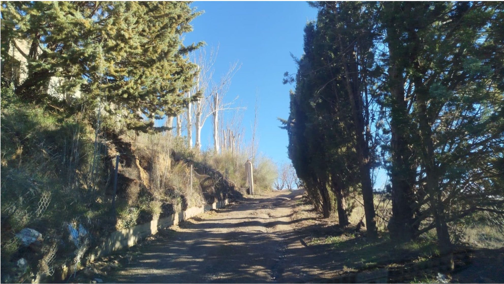 Camino de entrada a la finca